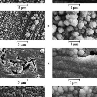 SEM Images Of A C Freshly Prepared A PdAg And C Pd Deposits And