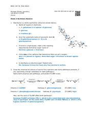 Exploring Glycolysis And Gluconeogenesis Pathways Chapter