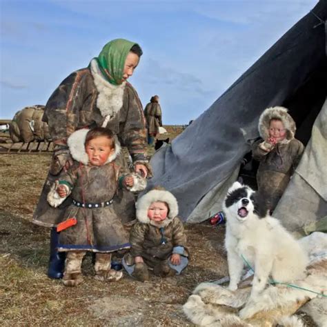 Yamal Peninsula Travel Guide How To Visit With The Nenets