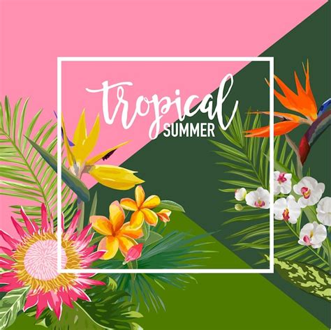 Banner De Verano De Flores Tropicales Fondo Gr Fico Invitaci N Floral