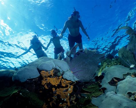 Ambergris Caye Belize Snorkeling Tours