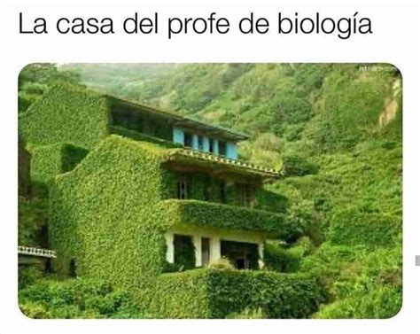 La casa del profe de biología Memes