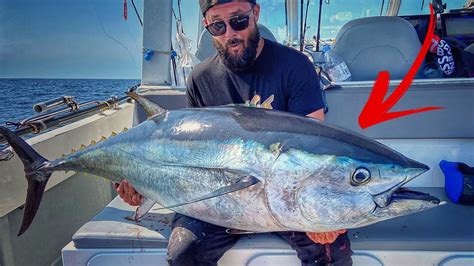 Un POISSON ULTRA PUISSANT PÊCHE au THON sur chasse au POPPER YouTube