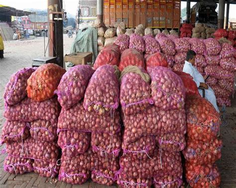 Indian Government Imposes Export Duty On Onion From May India