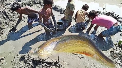 Amazing Daily Life Fishing Flowing Water River Dry Hill Underground