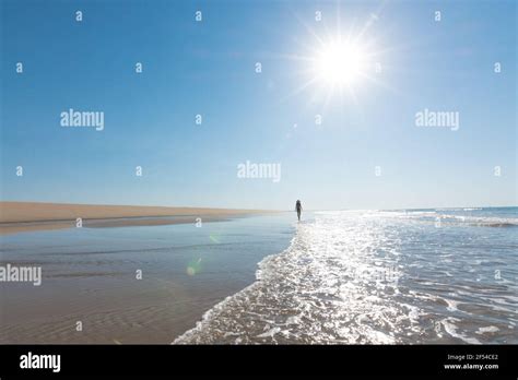Bikini Walk Fotos Und Bildmaterial In Hoher Aufl Sung Alamy
