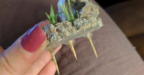 Handmade Fairy Garden Waterfall Album On Imgur