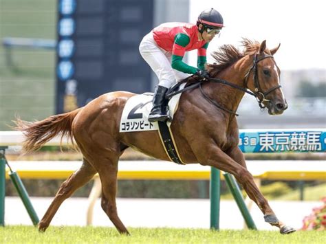 【京王杯2歳s予想】穴馬探しも関西馬がセオリー 関東牝馬が好走するための条件 競馬ニュース Netkeiba