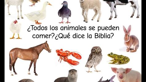 Que Alimentos Estan Prohibidos En La Biblia 2024