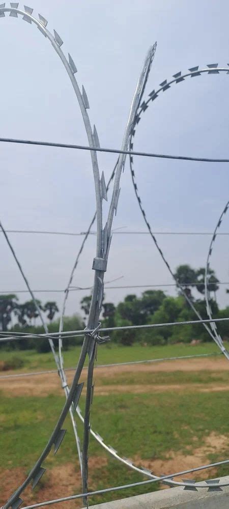 Mild Steel Galvanized Concertina Wire Fencing Cross Razor Coil Diameter 600 Mm At Rs 320 Feet