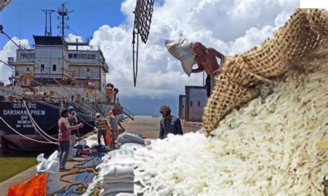 Centre Not To Allow Basmati Rice Exports Below Tonne