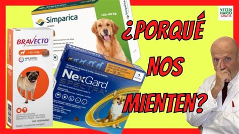 Novedosa Pastilla Antigarrapatas Para Proteger A Tu Perro De Picaduras