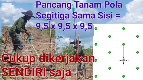 Sendiri Bisa Membuat Pancang Tanam Kelapa Sawit Pola Segitiga Sama