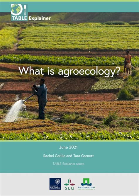 PDF What Is Agroecology 2021 6 24 Of Agroecology And Instead