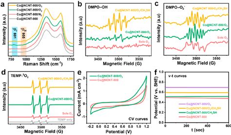 A In Situ Raman Spectra Of Co NCNT 800 Under Various Atmospheres ESR