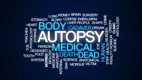 Autopsy Animated Word Cloud Text Design Stock Video Pond5