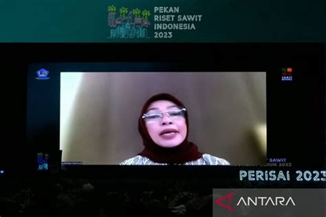 Industri Kelapa Sawit RI Serap 16 2 Juta Tenaga Kerja Pada 2022