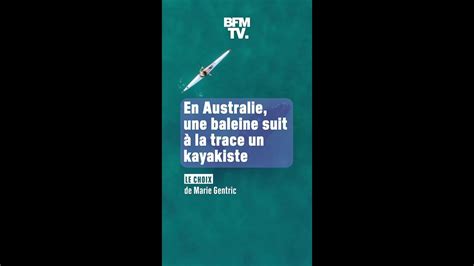 En Australie Une Baleine S Amuse Suivre Un Kayakiste Vid O Dailymotion