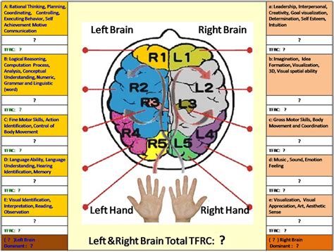 Dermatoglyphics Multiple Intelligences Test Dmit Review