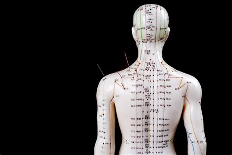 Acupuncture Meridian Pathways — Morningside Acupuncture Nyc