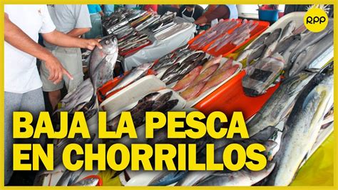 Chorrillos Pescadores preocupados por baja producción YouTube