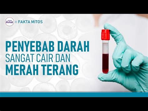 Penyebab Darah Encer Yang Harus Diwaspadai Tvone