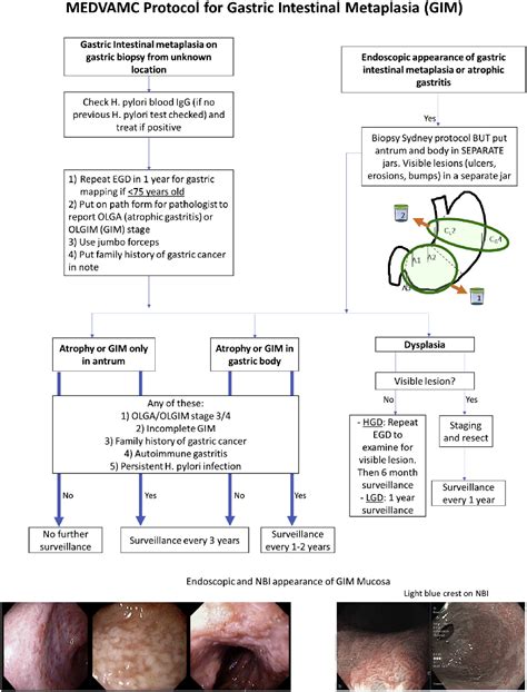 Improving Adherence To Gastric Intestinal Metaplasia Clinical Practice