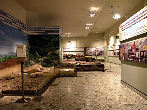 Museo Nazionale Preistorico Etnografico L Pigorini Roma