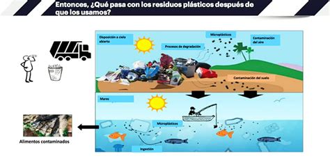 Cu Les Son Los Contaminantes Del Aire Agua Y Suelo Ecoduo