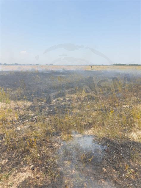 Foto Zeci De Hectare I Utilaje Distruse Ntr Un Incendiu N Jude Ul