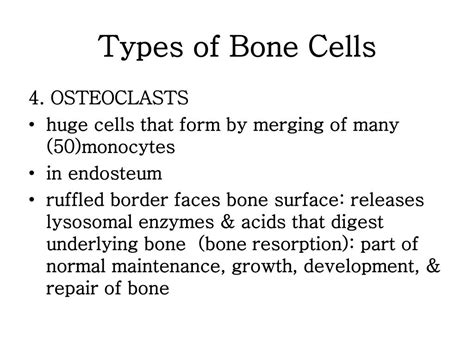 Ppt Skeletal System1 Powerpoint Presentation Free Download Id2065862