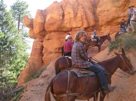 Westward Bound: Day 8 - Bryce Canyon, Horseback riding