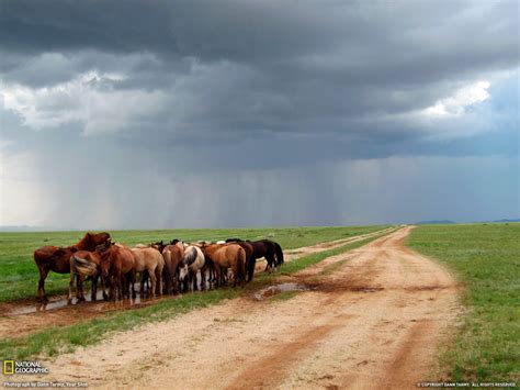 Mongolia Wallpaper - WallpaperSafari