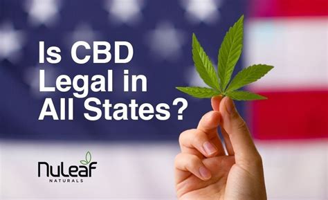 Is Cbd Legal In All States Nuleaf Naturals