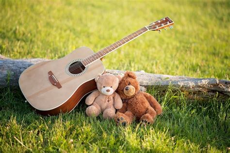 Dos Osos De Peluche Enamorados En La Hierba Con Una Guitarra En Un D A