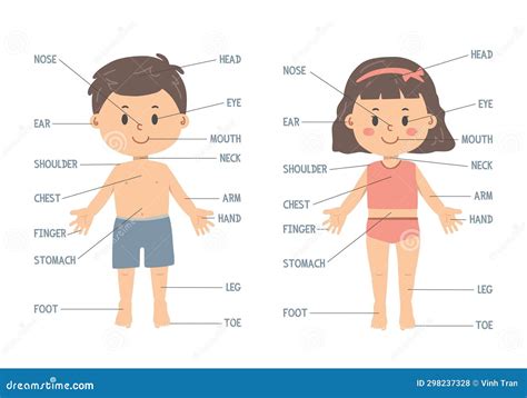 Cliente De Desenho De Partes Do Corpo Menino E Menina Bonitinhos