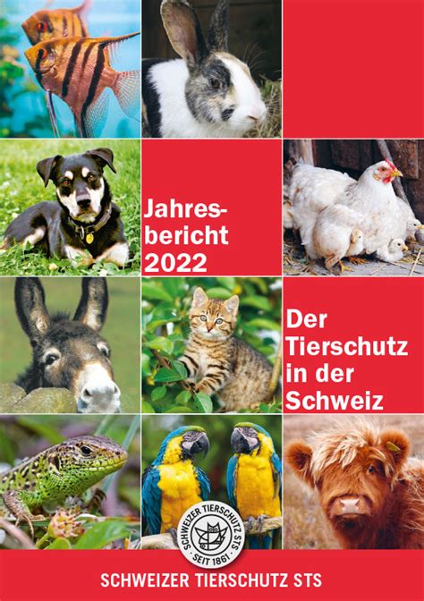 Schweizer Tierschutz Sts Jahresbericht