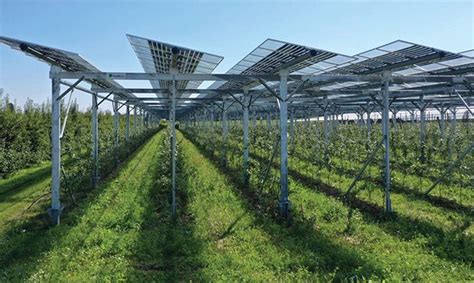 Baywa R E Supporting Solar Power For Agriculture Projects