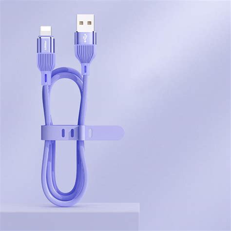 Fast Charging And Extended Cable For iPhone – GizModern