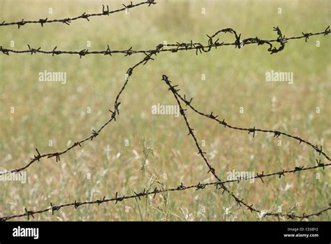 Barbed Wire Broken Fence Barb Wire Bobbed Wire Bob Wire Steel