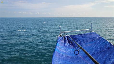 HAMPIR FULL BOX Banyak Sekali Ikan Ikan Besar Bersambar Di Spot