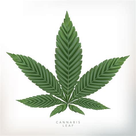 Ilustração de folha de cannabis realista em fundo cinza Vetor Premium