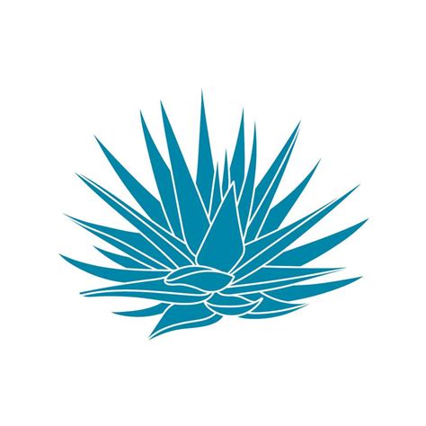 Agave Blue Plant In Flat Style Vector Illustration Isolated On White