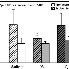 Bloodbrain Barrier Permeability Assessed By EB Extravasation 23 H