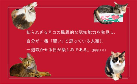 ネコはここまで考えている：動物心理学から読み解く心の進化 高木佐保 本 通販 Amazon