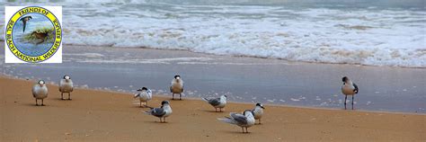 Friends of Seal Beach National Wildlife Refuge : Social and ...