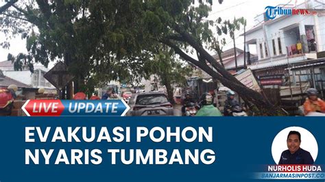 Ihantam Hujan Dan Angin Kencang Pohon Nyaris Tumbang Membahayakan