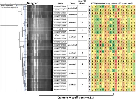 Frontiers A Novel Repeat Sequence Based PCR Rep PCR Using Specific