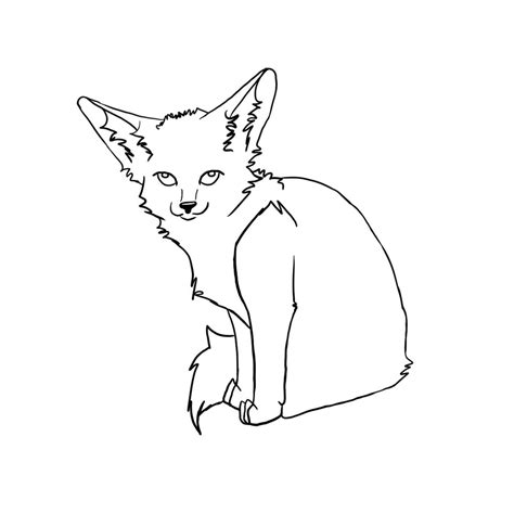 Fennec Fox Lineart By Softehstar On Deviantart