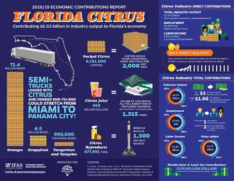 Economic Contributions Of The Florida Citrus Industry In 2018 19